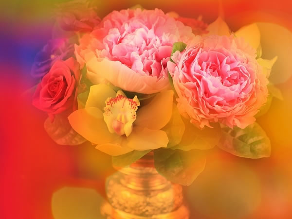 花.jpg